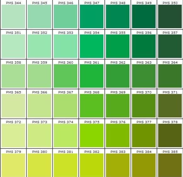 Породы кошек с зелеными глазами - фото и описание